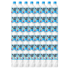 토레타 제로 페트(PET) 500ml x 48개