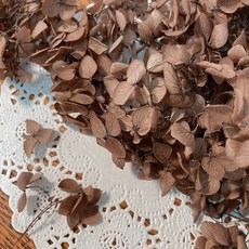 VITO zakka 木繡球永生花DIY乾燥花植物浮游花材花藝材料包拍攝道具DIY創作花材20g, 奶茶(現貨)