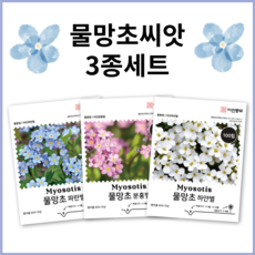 [주주씨앗] 물망초씨앗 100립 3봉세트 화이트 핑크 블루 분홍색 하얀색 파란색 하늘색 꽃씨앗 종자 씨 물망초씨