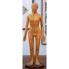 혈자리 인형 인체모형 모형 해부학 침술 침술교구 실습 교육 전신 남성, C. 구리 여성 하드 52cm