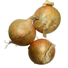 국내산 잘말려 단단한 무안 햇 양파 3kg 5Kg 10Kg 소중 혼합 /중대 혼합/ 특, 1개, 5kg 중대 혼합