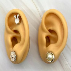 다온58 인체모형 실리콘 왼쪽귀 실습도구