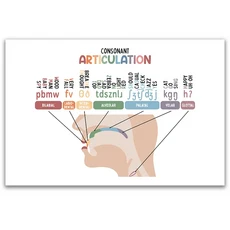 쿠쿠스토어 무지개 다채로운 모음 해부학 차트 벽 예술 장식 언어 치료 학습 포스터 홈 교실 키즈 룸 선물, 06 15x20cm No Frame, 01 DEWW11a