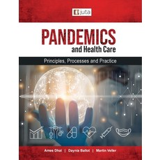 (영문도서) Pandemics and healthcare: Principles Processes and Practice Paperback, Juta & Company Ltd, English, 9781485131748