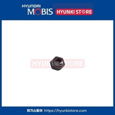 현대 기아 순정 24mm 너트 577592E000 57759-2E000, 호환 차종, 1개