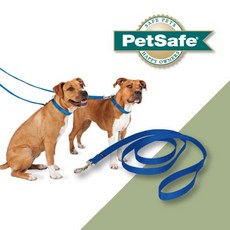 Petroyal 美國 Petsafe 普立爾 專業訓練拉繩，6尺x 3/4吋，狗拉繩，可搭配防暴衝胸背帶 (藍/綠/黑/紅), 1個