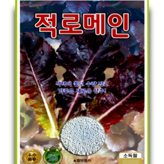 적로메인 상추 씨앗 1500립 진한색상 다수확 고급 로메인 종자 ks, 1개 1개