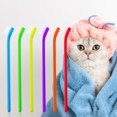 고양이 칫솔 1p 치아관리 랜덤발송, 1개