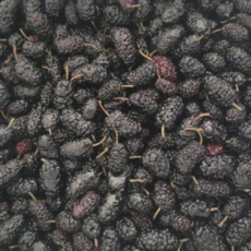 국산) 25년 햇오디 급랭 GAP인증, 1개, 2kg