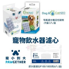 Dog&Cat H2O 寵小到大 活性碳棉濾心 P100/P100S 飲水器濾心 犬喵大王, 1個