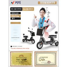 뉴트라이브 출퇴근용 삼륜 배달용 스쿠터 세발 고성능, 36V 단일 12A 리튬 500 35-40km, 48V
