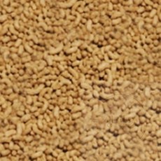 생활잇 골드피쉬 금붕어 비단잉어 색상영양사료 100g 물고기먹이주기, 1개