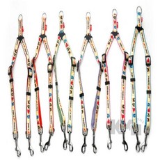 반려견 쌍줄 색상랜덤 두마리목줄 애견리드줄