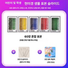 프레파라트 48종 표본 실험도구 식물 현미경 체험, 가성비 추천 60장 곤충 야채 과일, 기본 색상