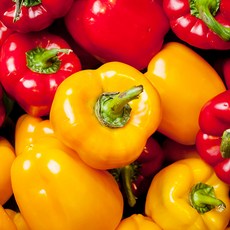 전라도청년 못난이 혼합 파프리카 피망, 못난이파프리카1kg(혼합), 1개