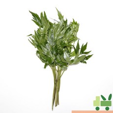 사라상회 당귀잎 1kg, 1박스