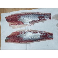 국내산 참숭어 밀치 원물1kg내외 당일손질 생선회 밀치 필렛, 1개, 밀치 350g