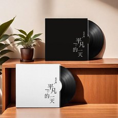 台灣出貨 正版 毛不易專輯 平凡的一天 LP黑膠唱片 老式留聲機12寸碟片唱盤 收藏碟片 樂音欣賞 金典珍藏
