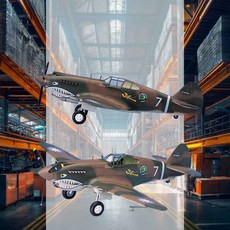 1대48 토마호크 전투기 밀리터리 전투기모형 거실장식품 프라모델 수집용 디스플레이