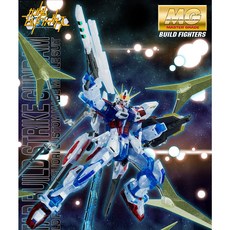MG 스타 빌드 스트라이크 건담 RG시스템 한정판 STAR BUILD STRIKE RG SYSTEM