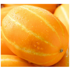 [신년특가] 산지직송 성주 꿀 참외 가정용 대과, 1박스, 가정용 대과 5kg (6-14과)