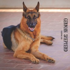 German Shepherd Calendar 2021: Wall Calendar 2021 Animals Dog Breed Calendar Paperback, Independently Published, English, 9798583044870