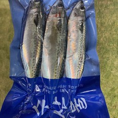 국내산 생물급냉 통고등어 3미, 1개, 2kg 내외