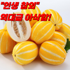 [첫수확]정품 성주참외 산지직송 고당도 아삭아삭, 1박스, 1.5kg(3-6과)