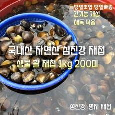 [산지직송] 국내산 자연산 새벽조업 당일배송 햇 생물 섬진강 명지 재첩 1kg 200미 내외. 2kg 400미 내외 선물용 가정용, 1박스, 섬진강 명지 햇 생물재첩 1kg 200미 내외