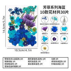 芳菲系列 真花壓花永生花組合，森林系DIY水晶滴膠乾燥花植物標本, 5.海藍