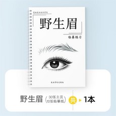 習冊 畫眉練習本 紋眉工具套裝 野生線條眉 臨摹學習, 1個, 野生眉練習冊, 野生眉練習冊
