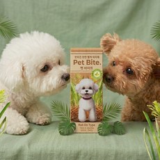 펫바이트 강아지 진드기 퇴치제 기피제 야외용 산책용 2개 1년치, 10ml, 상큼하고 밝은 시더우드향