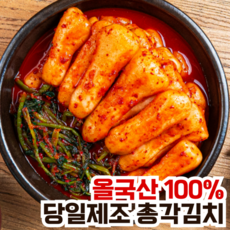 [정순애김치] 당일제조 전라도식 총각김치, 1개, 2kg