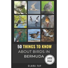 (영문도서) 50 Things to Know About Birds in Bermuda Large Print: Birding in a Sub-tropical... Paperback, Independently Published, English, 9798303905115