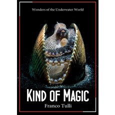 (영문도서)Kind of Magic. Wonders of the underwater world Paperback, Youcanprint, English, 9791224026754