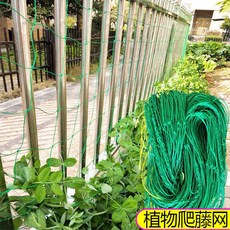 爬藤網 百香果 豆角 黃瓜 月季 瓜果 葡萄 種植攀爬搭架網, 1個, 90股長度包邊【10釐米網孔】,爬藤植物網【2米寬3米長】給紮帶
