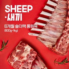 (당일발송)쉽새끼 뉴질랜드산 3개월 6개월 숄더랙 프렌치랙 양갈비 통원육 800g-1.1kg + 소스4종무료(냉동), 1개, 6개월숄더랙(800g-1kg)