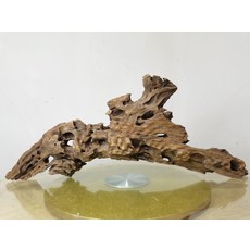 造景沉木 精品多孔, 1個