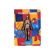 Inside Out : Human Body - 보드북, Luann Columbo(저), Quarto