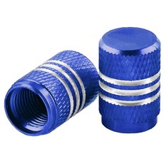 킹콩 알루미늄 타이어 밸브캡 투톤 컬러 자동차 오토바이 공용, 블루, 1개