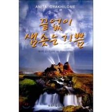 끝없이 샘솟는 기쁨, 믿음의말씀사, 애니타 오야킬로메 저/Paula Kim 역