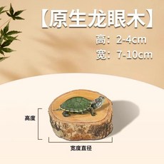 原生龍眼木圓形木墩，烏龜爬台、休息平台，適用於龜缸裝飾，尺寸 7-10cm 寬, 1個, 【高2cm寬約12cm】