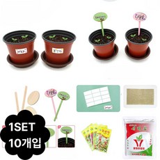 봄 만들기 키트 씨앗심기 10인용 화분포함 원예키트 환경의날 반꾸 저학년 시니어 인지발달, 씨앗심기 10인_추가X