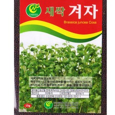 영농사 [새싹 겨자 씨앗 15g] 겨자씨, 4개
