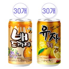 일화 유자꿀물+배도라지 각 30개씩, 60개, 175ml