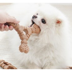 소형견용 강아지 씹껌 귀여운 디자인 내구성 강한 장난감, 삼지뼈, 1개