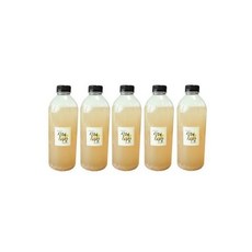 식혜사랑 전통식혜1000ml x 5병