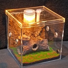 거미 파충류 상자 도마뱀 집 투명 아크릴 사육장, 1개, A_6.5cm 소형 호박 뿌리 세트
