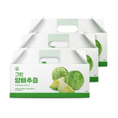 그린 양배추즙, 3박스, 3L