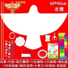 【開發票/統編】DIY風箏教學材料包 兒童手工製作 空白填色繪畫 自製風箏 玻纖骨架 防水布料 易飛設計 多圖案960112, 新款老鷹材料包全套（空白）, 1個